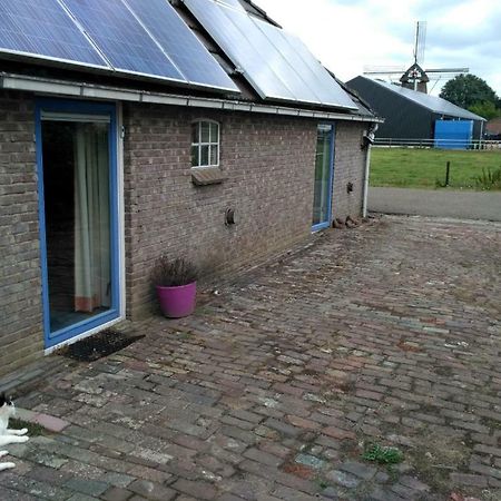 Appartamento Logeerruimte In Gerenoveerde Boerderij In Wachtum Esterno foto