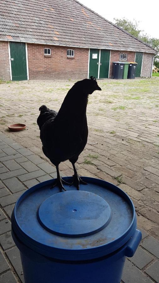 Appartamento Logeerruimte In Gerenoveerde Boerderij In Wachtum Esterno foto