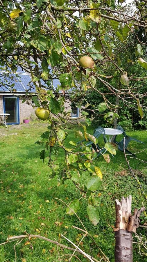 Appartamento Logeerruimte In Gerenoveerde Boerderij In Wachtum Esterno foto