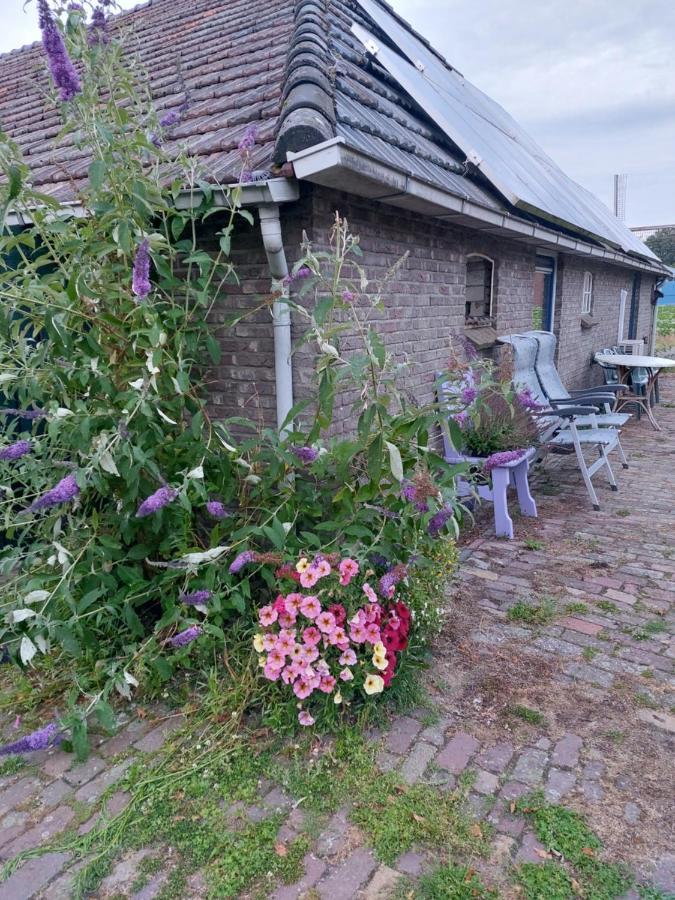 Appartamento Logeerruimte In Gerenoveerde Boerderij In Wachtum Esterno foto