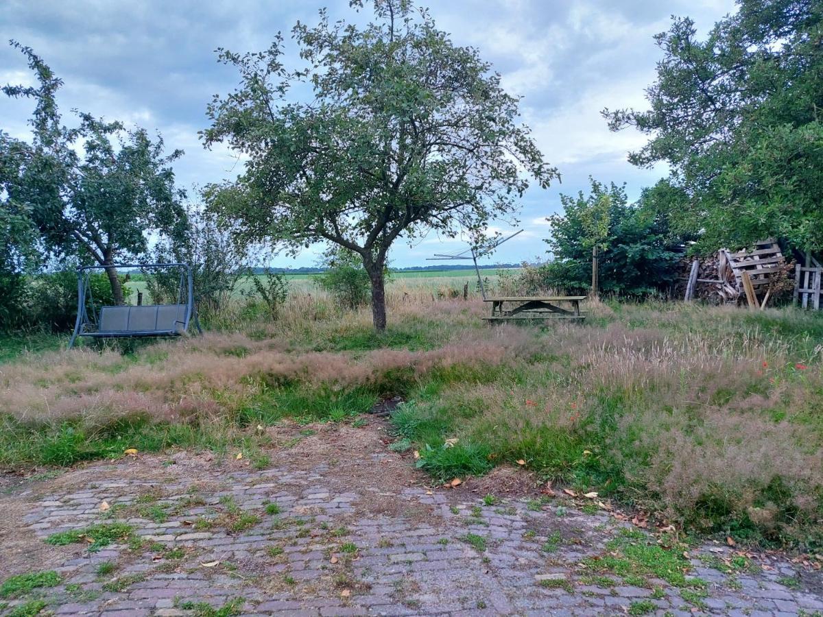Appartamento Logeerruimte In Gerenoveerde Boerderij In Wachtum Esterno foto