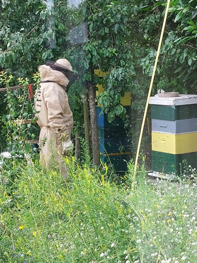 Appartamento Logeerruimte In Gerenoveerde Boerderij In Wachtum Esterno foto