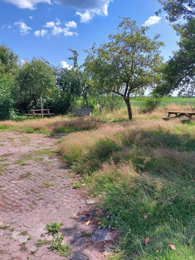 Appartamento Logeerruimte In Gerenoveerde Boerderij In Wachtum Esterno foto