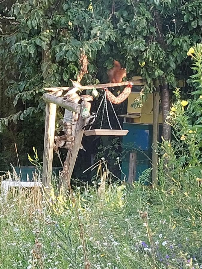 Appartamento Logeerruimte In Gerenoveerde Boerderij In Wachtum Esterno foto