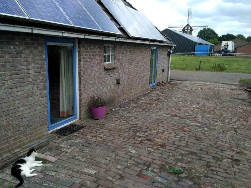 Appartamento Logeerruimte In Gerenoveerde Boerderij In Wachtum Esterno foto